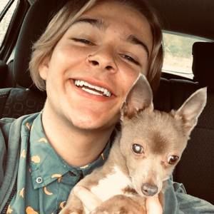 Meet your Posher, Sydney